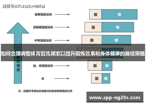 如何合理调整体育锻炼频率以提升锻炼效果和身体健康的最佳策略